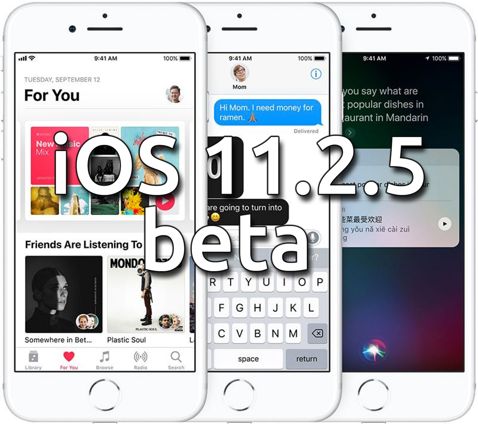 Nueva Beta Publica de iOS 11.2.5