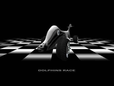 Dolphins Race