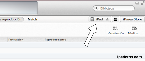 iTunes iPad