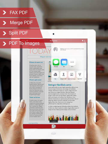 PDF Export Pro