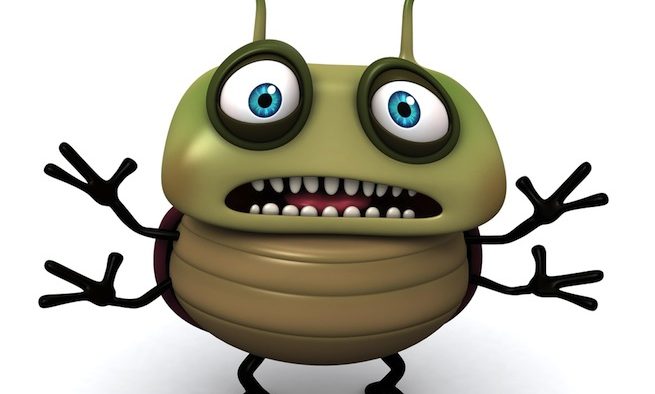 Bug enorme