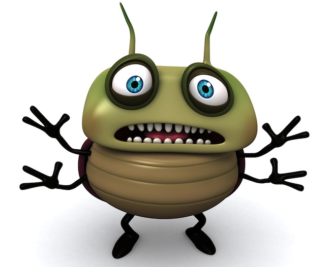 Bug enorme