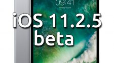 iOS 11.2.5 beta